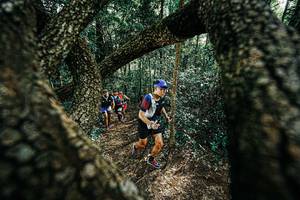 BIB: 
                            <button type="button" onclick="openModal(25392180)" class="btn btn-primary btn-sm float-right btn-popup" data-toggle="modal" data-target=".modal-high-quality">
                        <i class="fas fa-shopping-cart"></i> Add to Cart
                    </button>
                                            <button type="button" onclick="isThisMe(25392180, true)" class="btn btn-success btn-sm float-right btn-popup btn-isme hidden" data-toggle="tooltip" data-placement="bottom" title="นี่คือรูปของคุณใช่ไหม คลิกที่นี่เพื่อเอาเข้าอัลบั้ม">
                        <i class="fas fa-plus"></i> Add to album
                    </button>
                    <button type="button" onclick="isThisMe(25392180, false)" class="btn btn-warning btn-sm float-right btn-popup btn-isnotme hidden">
                        <i class="fas fa-ban"></i> Remove from album
                    </button>